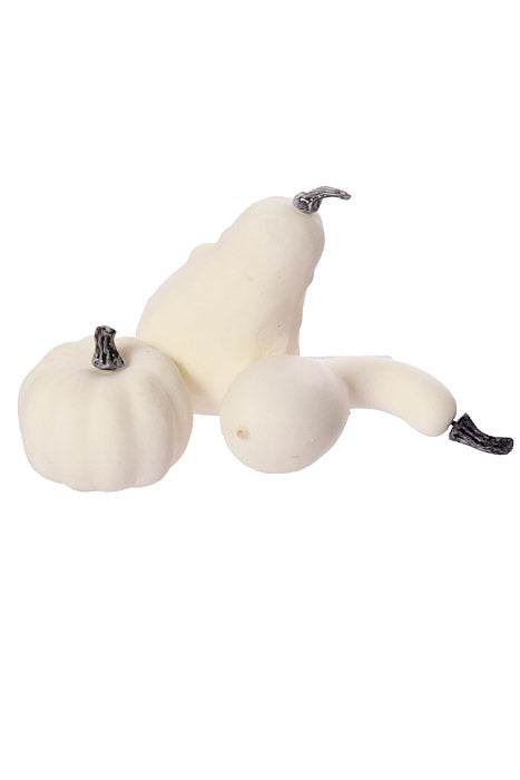 3"- 5.25" Mixed Pumpkin In Net White Pkg/8