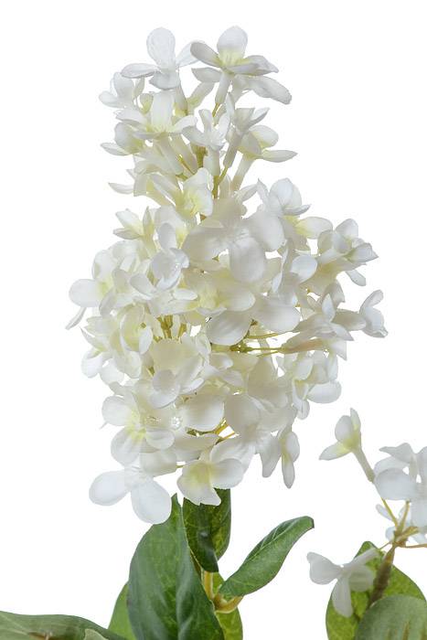 28.5" Silk English Lilac Cream