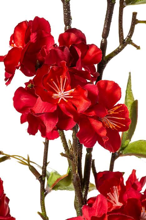 47" Cherry Blossom Spray Red