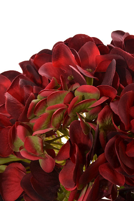 18.5" X 7" Silk Hydrangea Bloom Burgundy