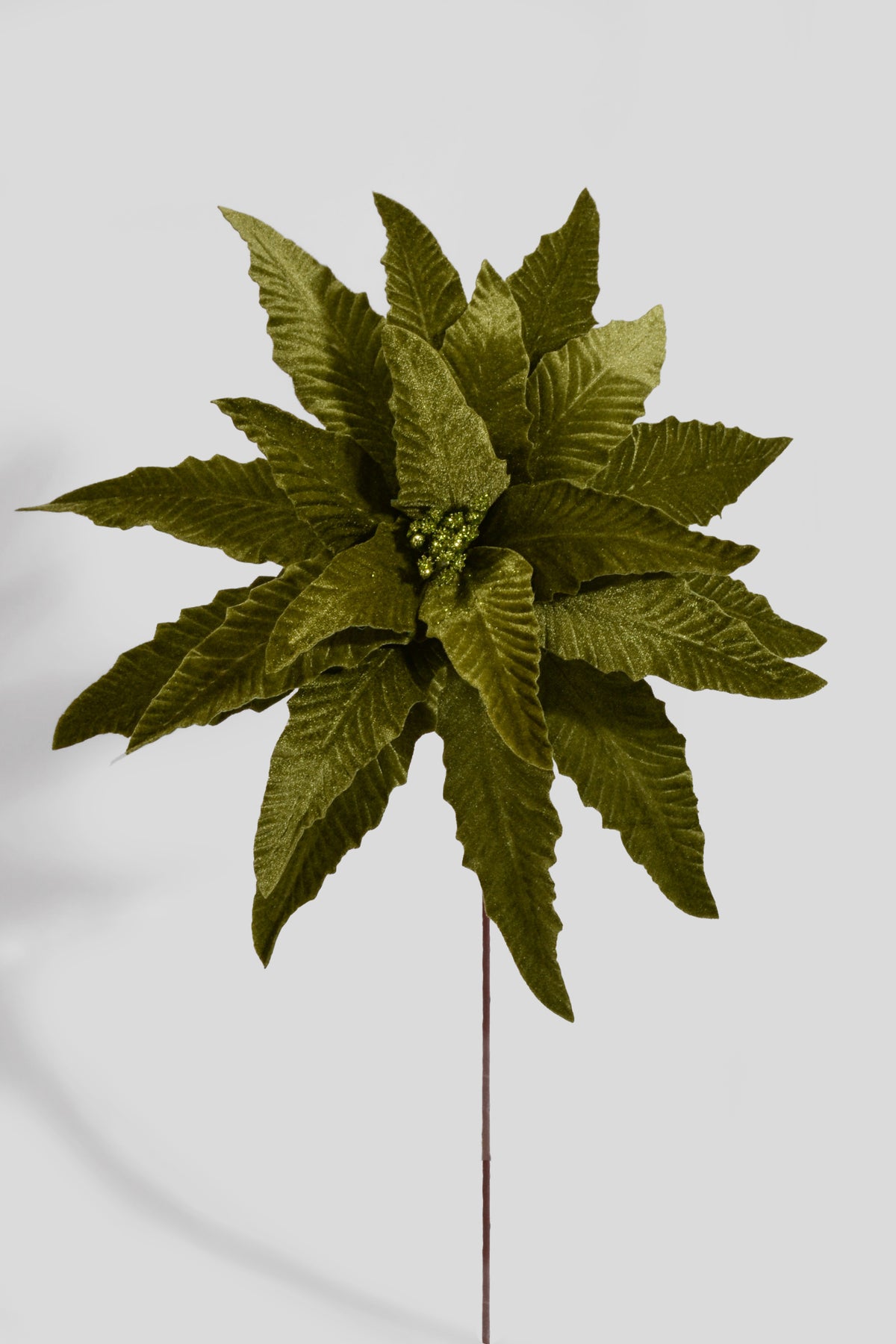 23.5" Velvet Poinsettia Stem Lime