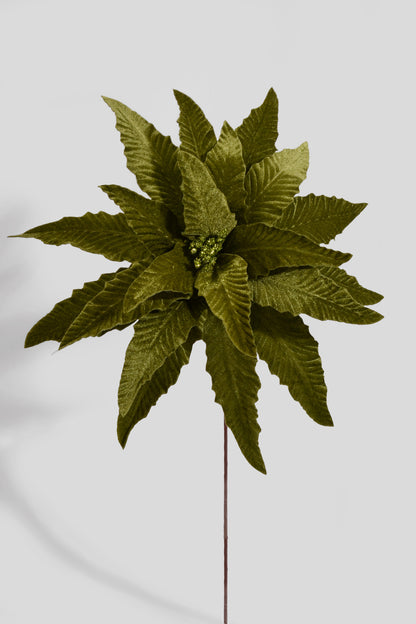 23.5" Velvet Poinsettia Stem Lime