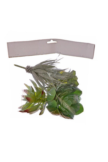 7" Succulent Assortment Green