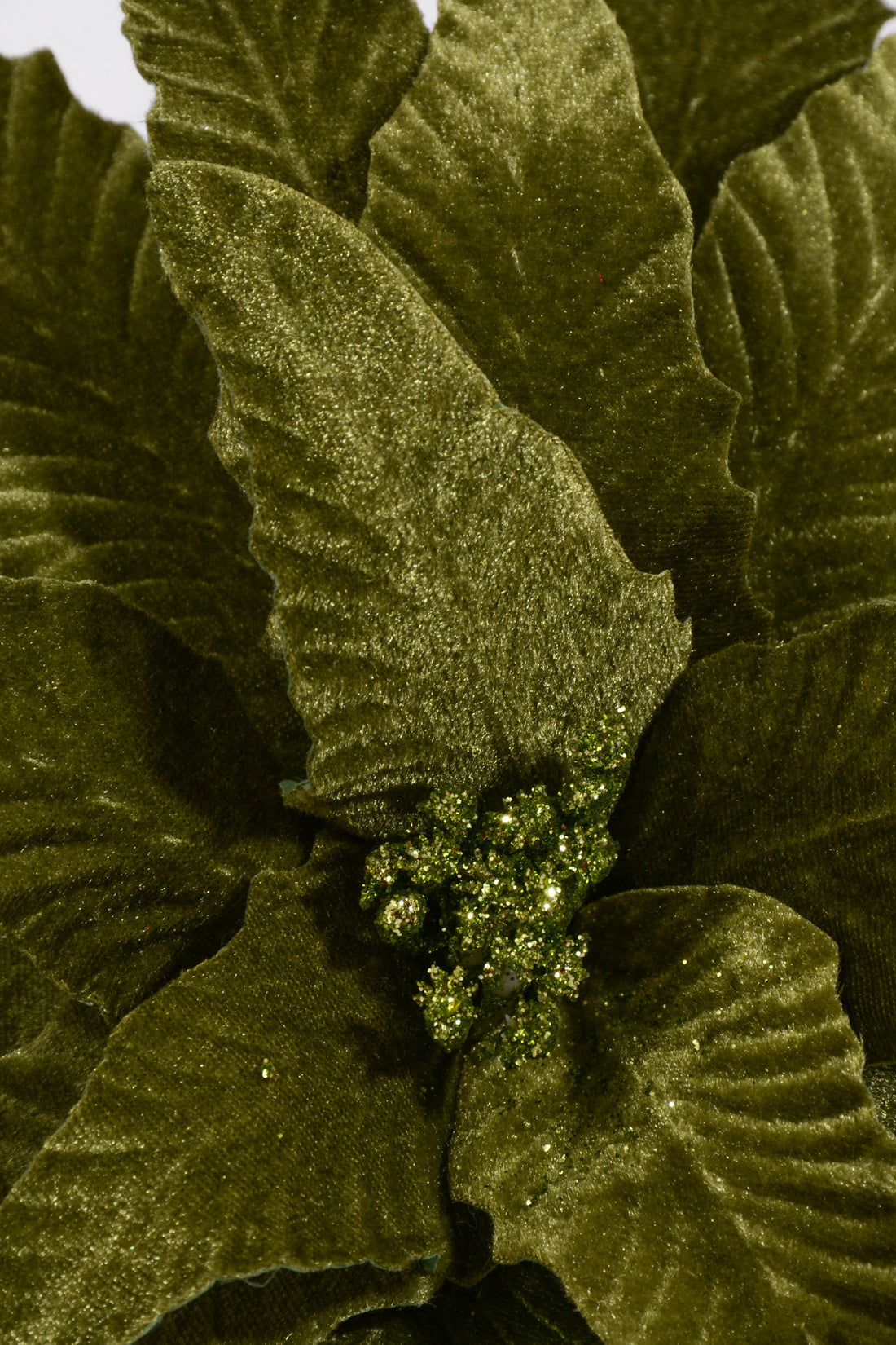 23.5" Velvet Poinsettia Stem Lime