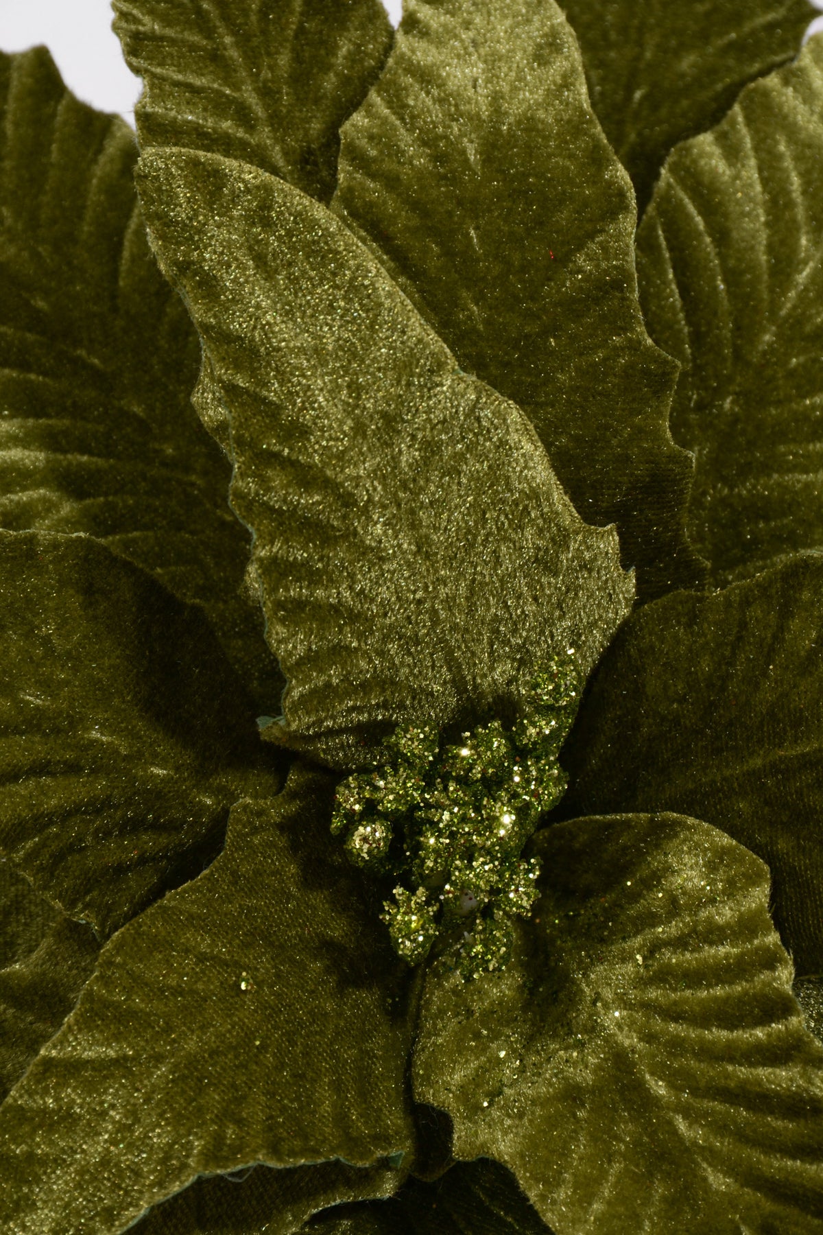 23.5" Velvet Poinsettia Stem Lime
