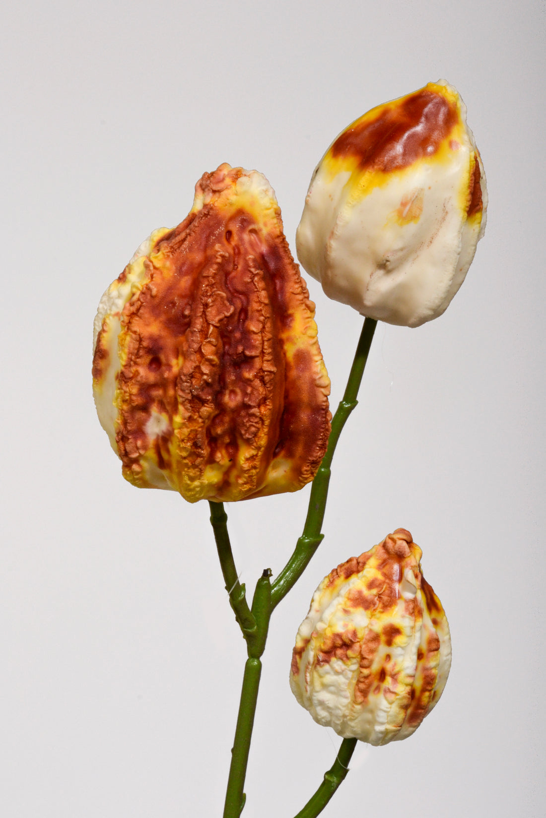 31.5" Artificial Japanese Lantern Spray Ivory/Brown