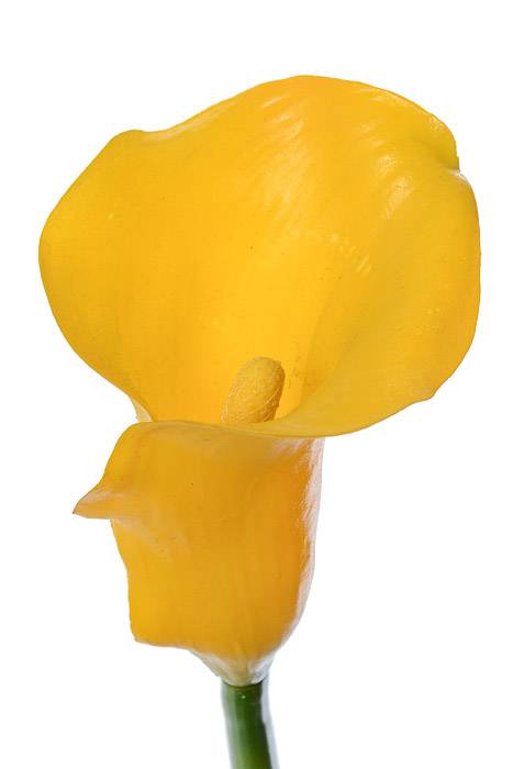 24" Calla Lily Spray Yellow