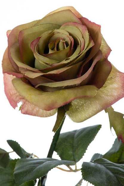 27.5" Confetti Rose Spray Green/burgundy