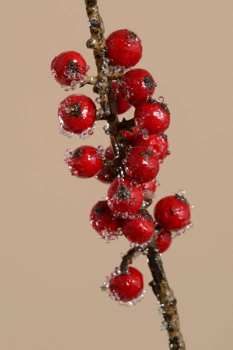 72" Iced Berry Spray Red