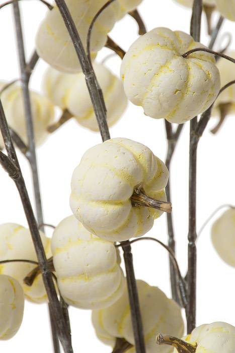 22" Pumpkin Bundle Cream