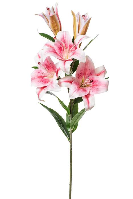 35" Silk Rubrum Lily Pink