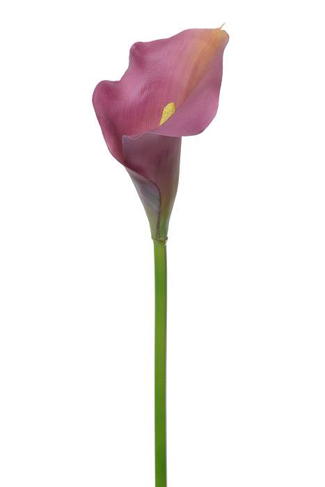21" Calla Lily Stem Purple