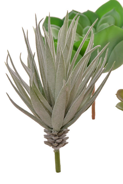 7" Succulent Assortment Green