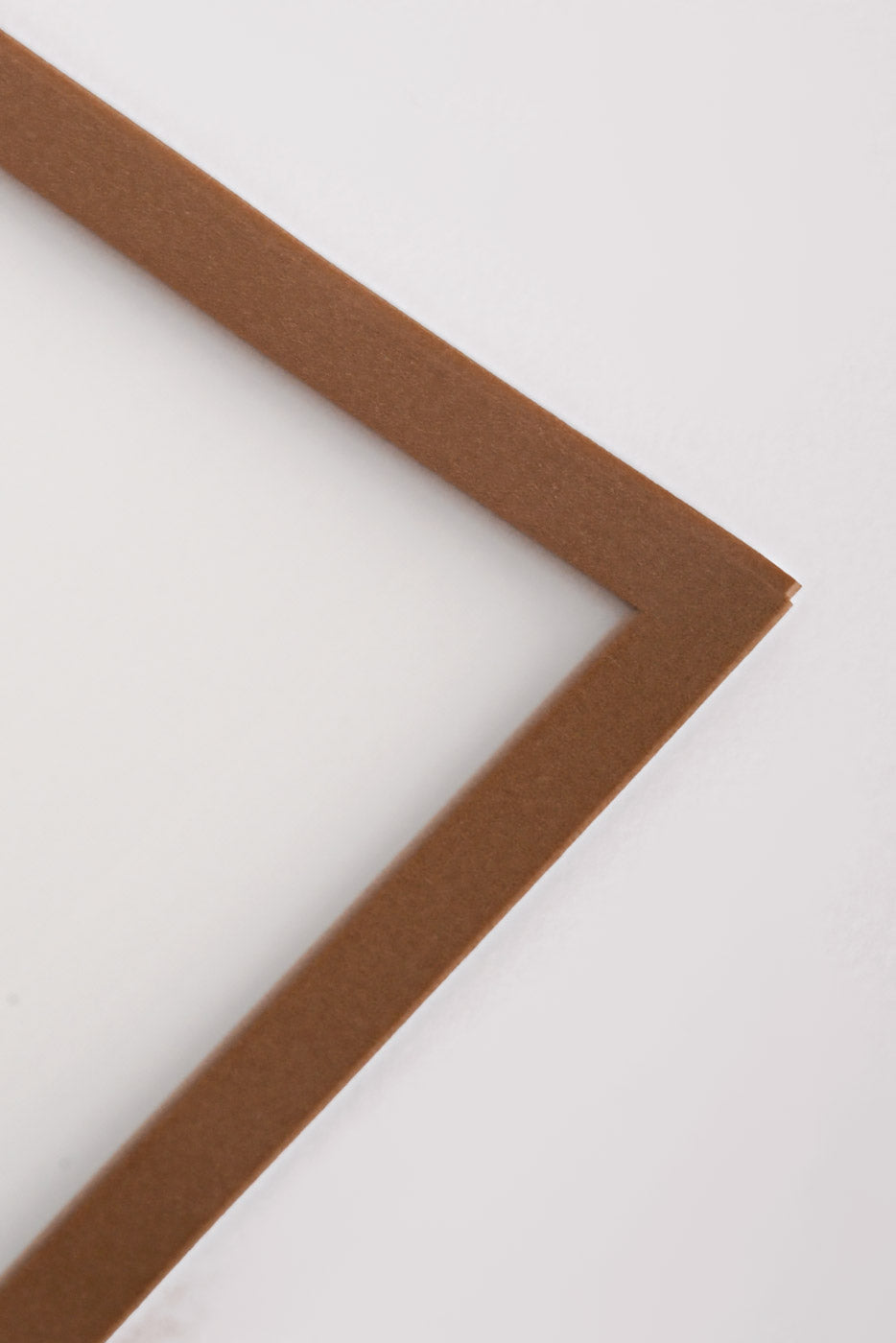 22.5" Champagne Edge Flower Wrap White Pkg/20