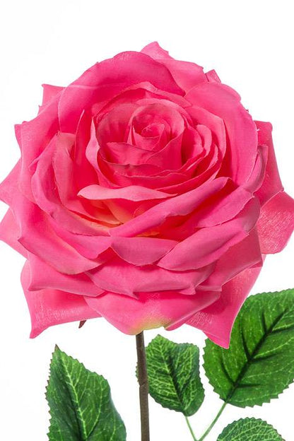 20" Open Rose Spray Fuschia