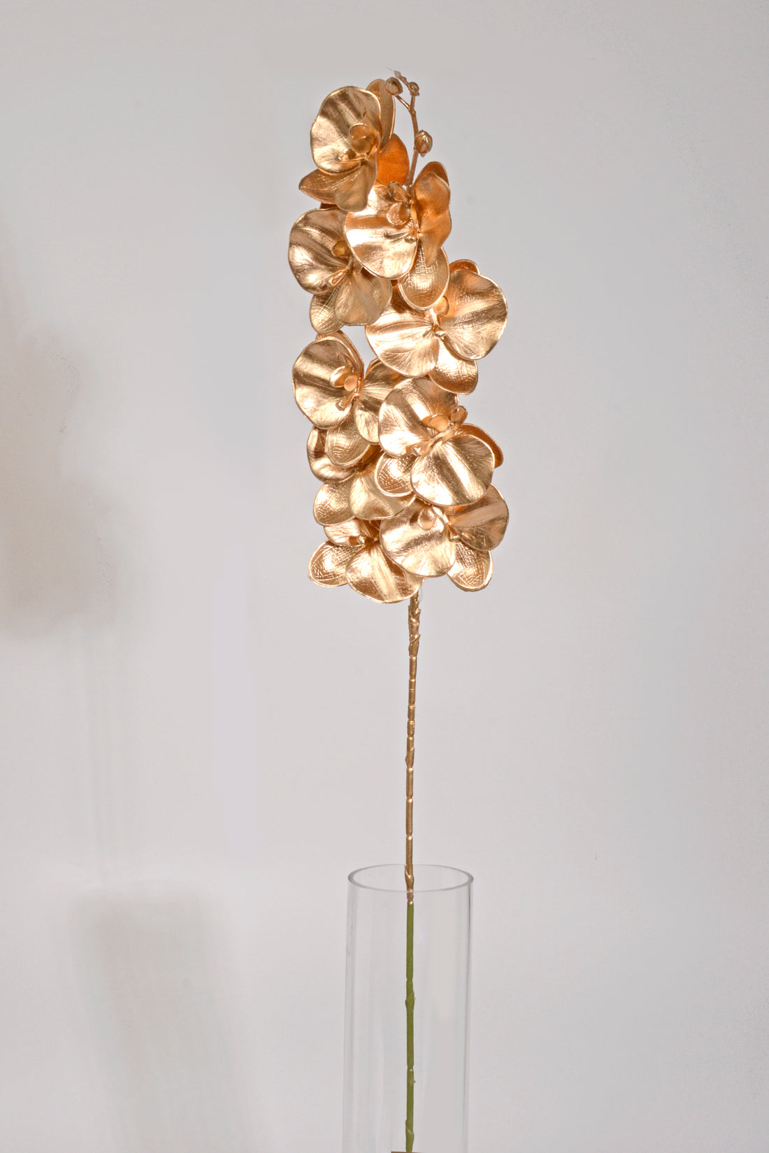 41.3" Metallic Phalaenopsis Spray Gold
