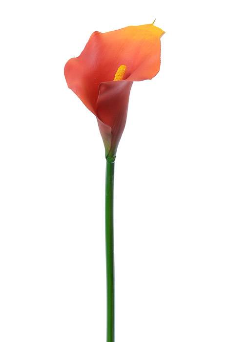21" Calla Lily Stem Flame