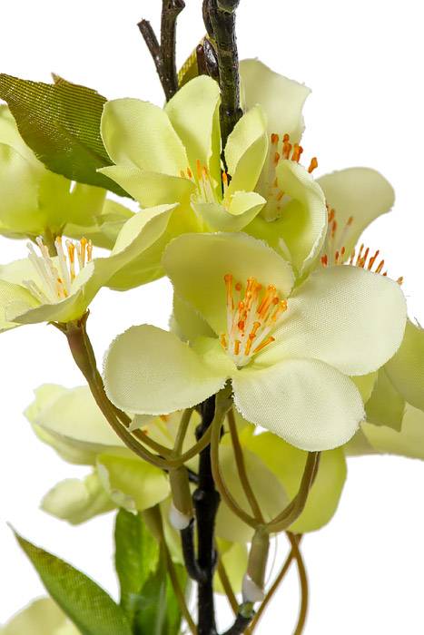 35" Silk Cherry Blossom Spray Light Green
