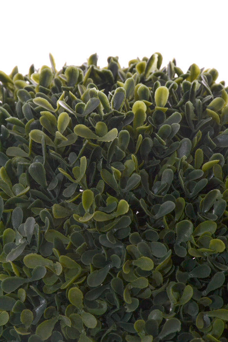 12" Boxwood Ball Green