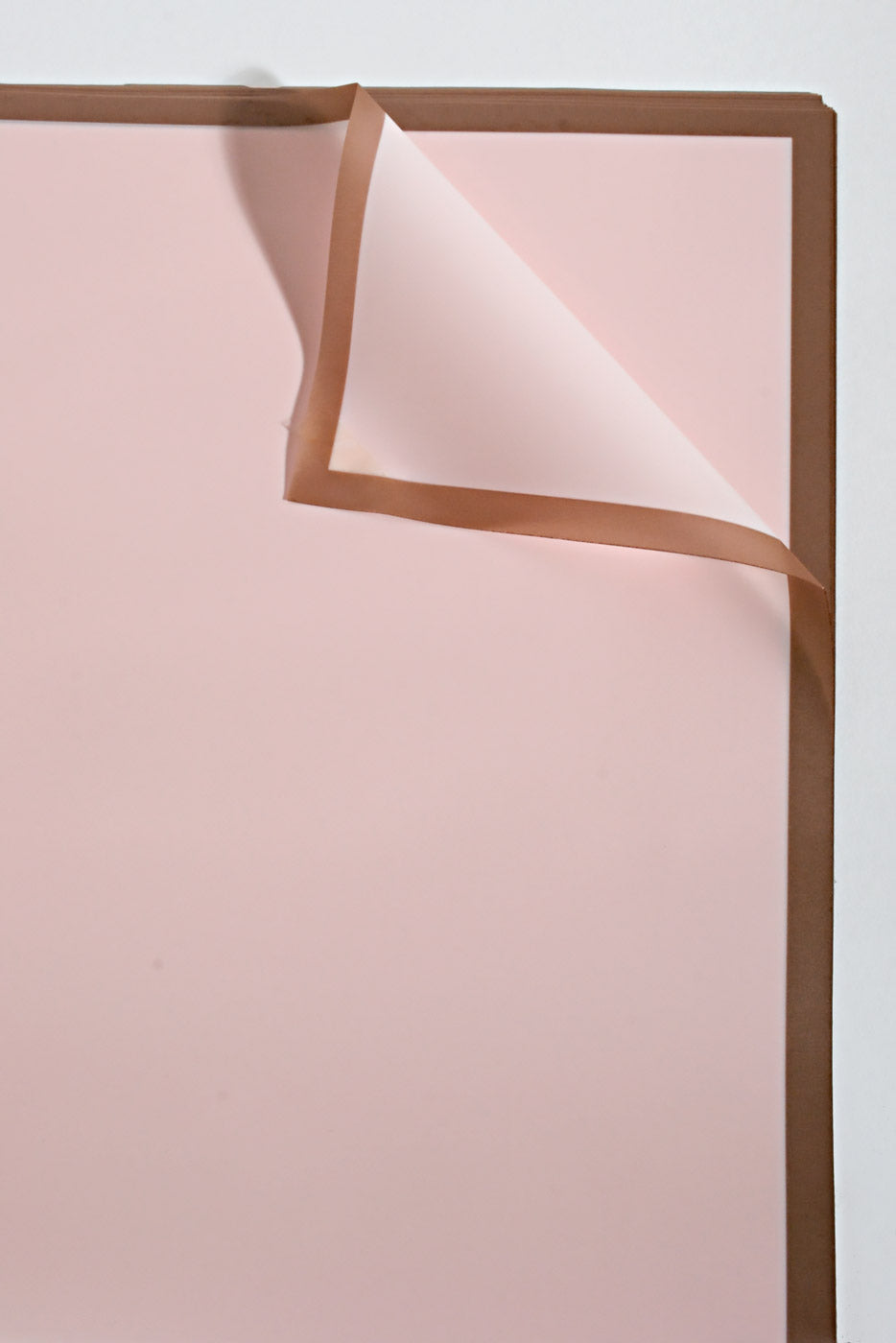 22.5" Champagne Edge Flower Wrap Pink Pkg/20