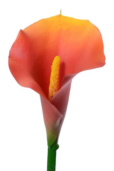 21" Calla Lily Stem Flame