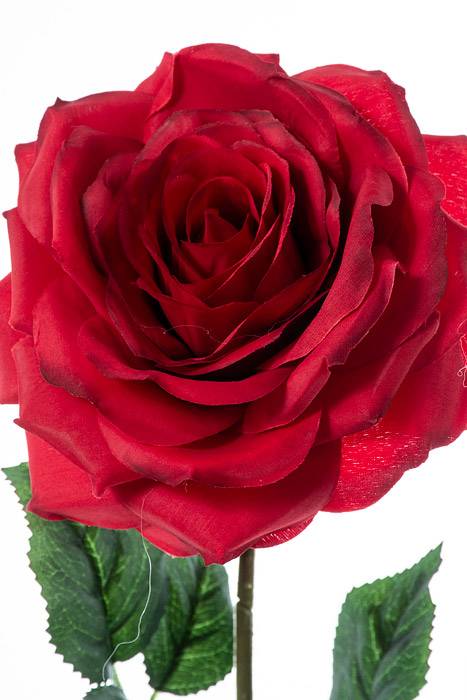 20" Silk Open Rose Spray Red