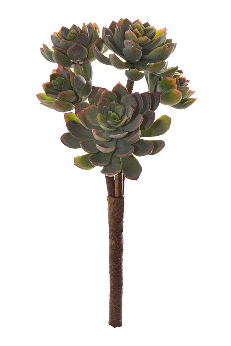 12" Succulent Bush Green