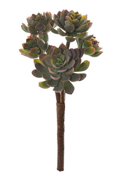 12" Succulent Bush Green
