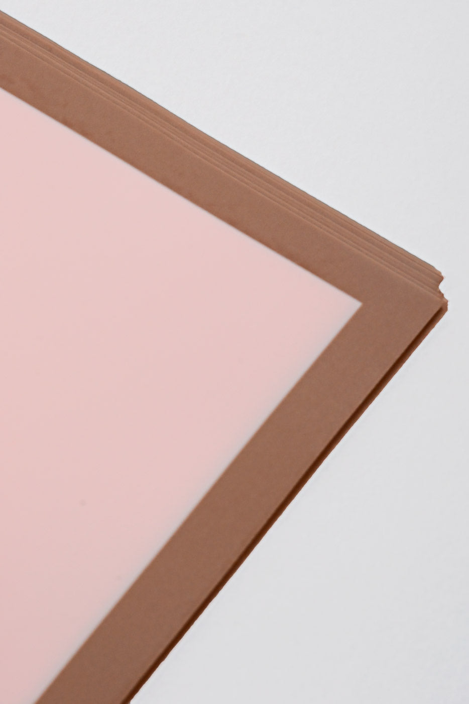 22.5" Champagne Edge Flower Wrap Pink Pkg/20