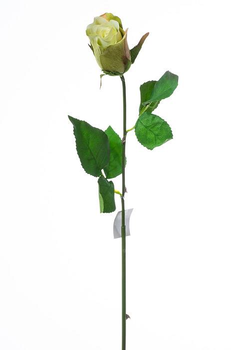 26" Rose Stem Green