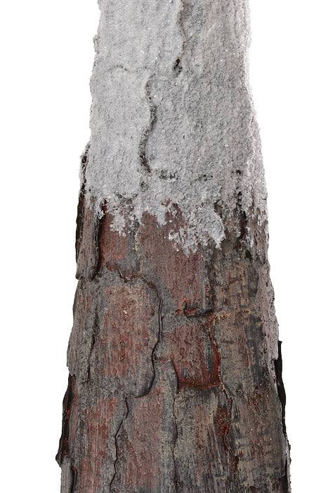 25&quot; Bark Cone Tree With Snow Brown/White