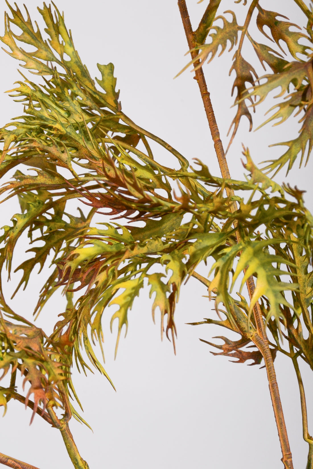 33.5" Artificial Aralia Spray Green