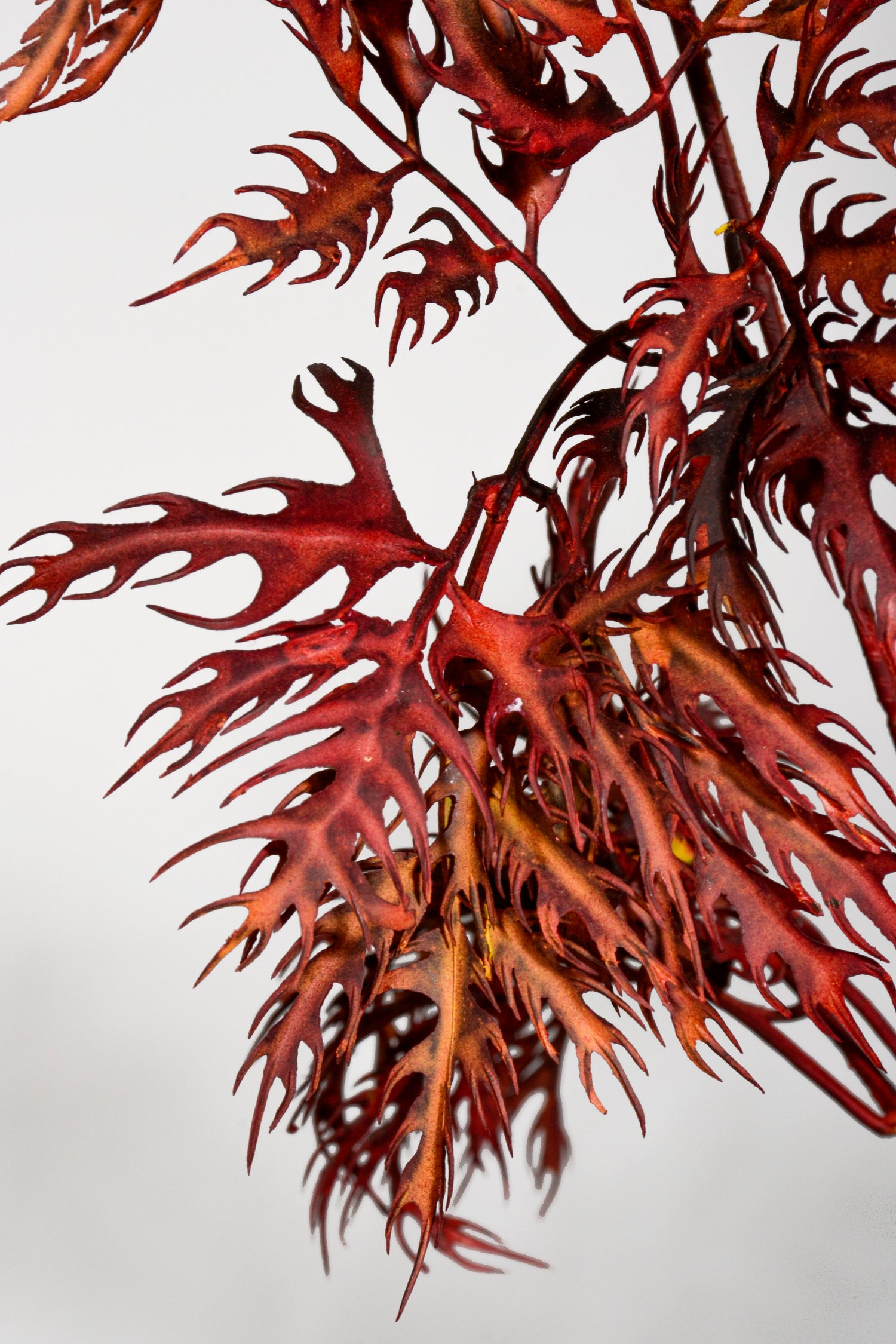 33.5" Artificial Aralia Spray Flame