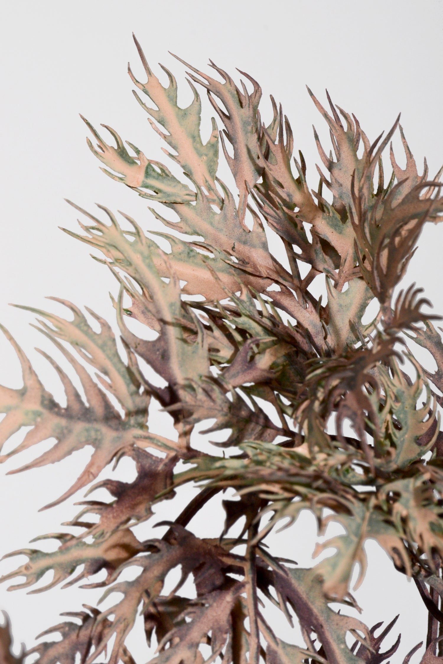 33.5" Artificial Aralia Spray Plum