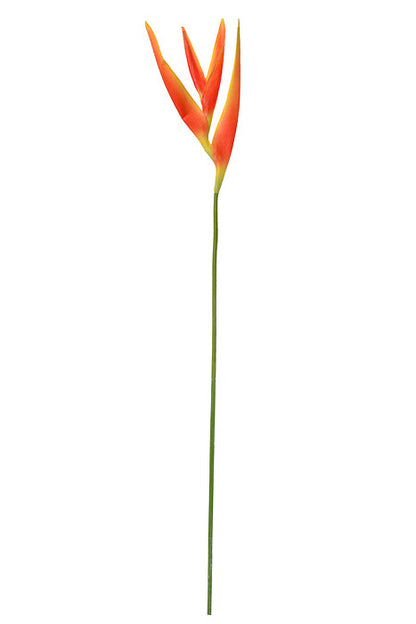31.5" Tropical Heliconia Spray (Orange)