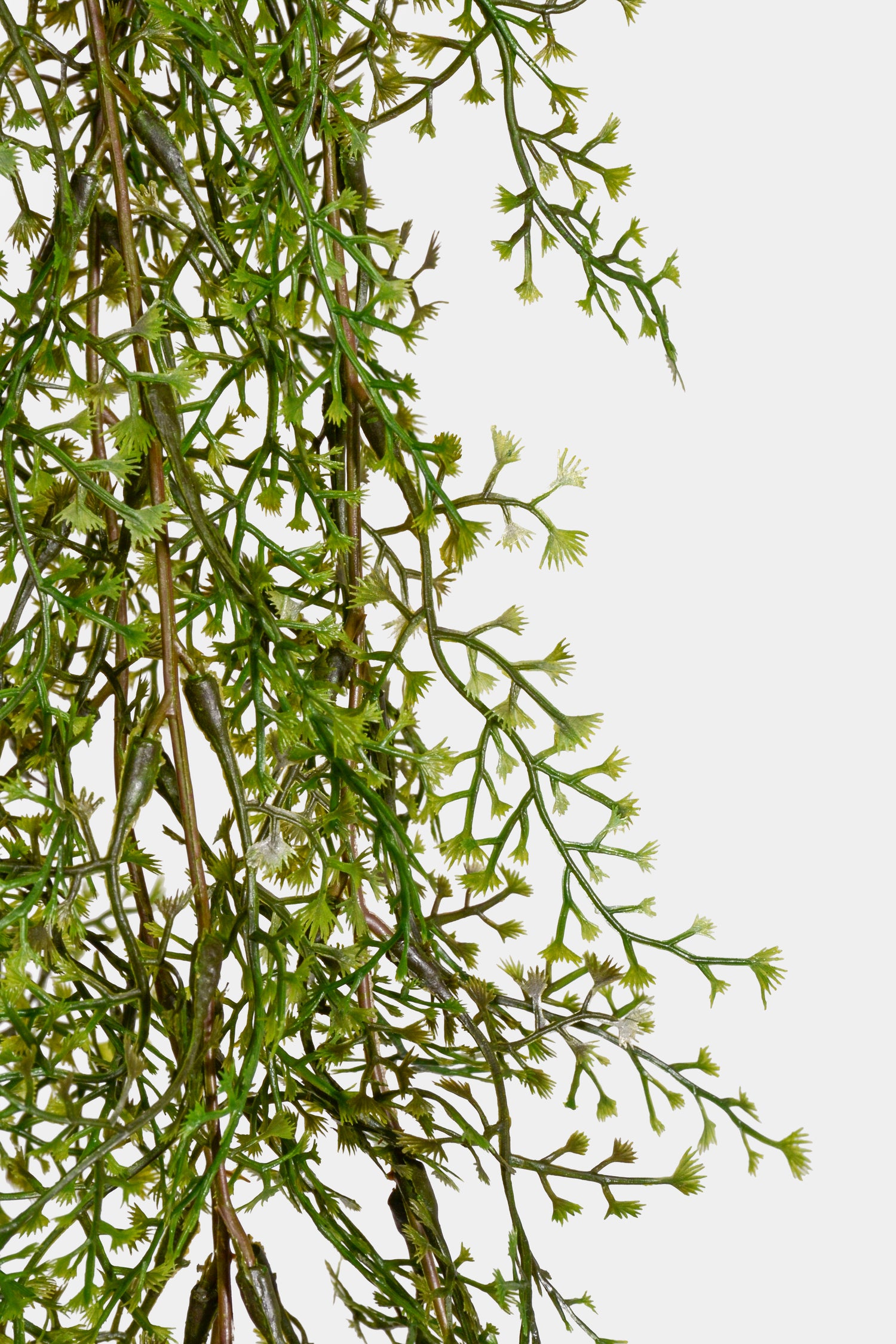 46" Artificial Maidenhair Hanging Bush Green