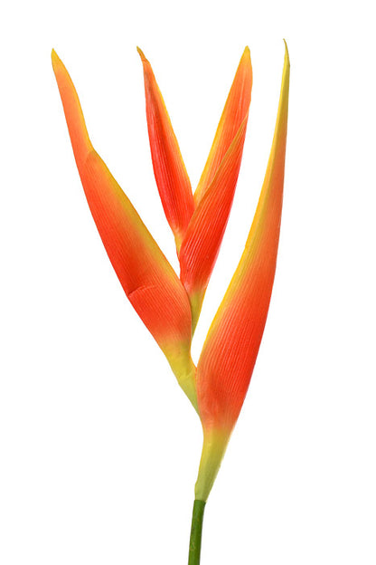 31.5" Tropical Heliconia Spray (Orange)