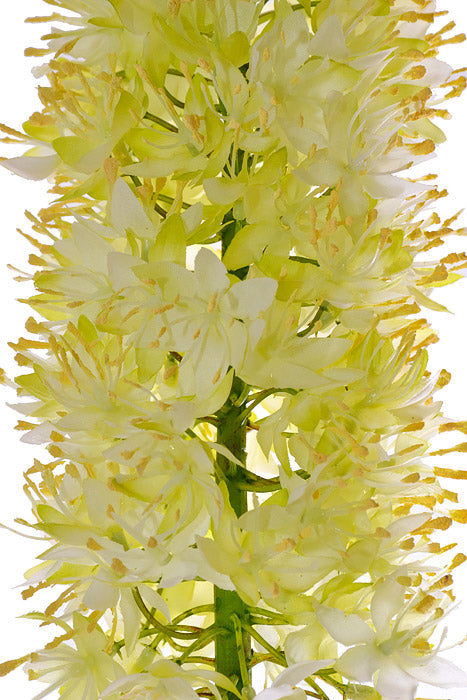 47" Foxtail Spray Green