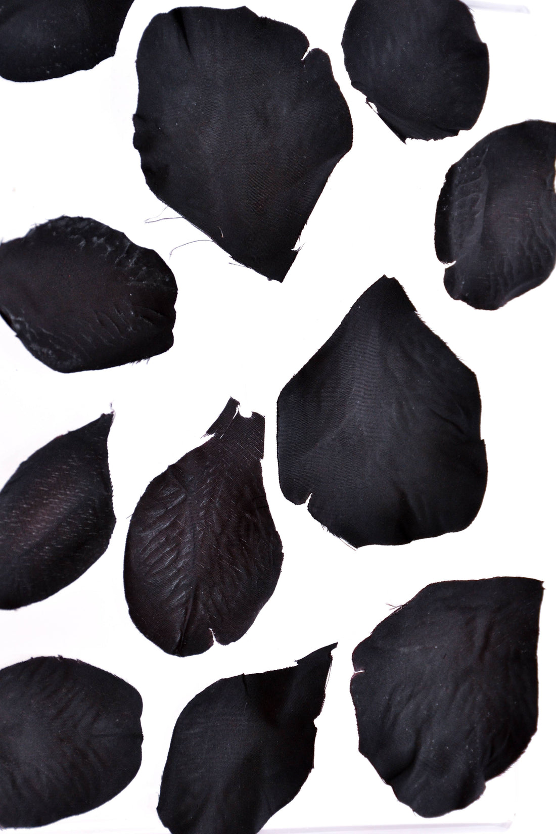 Silk Rose Petals Black Pkg/500