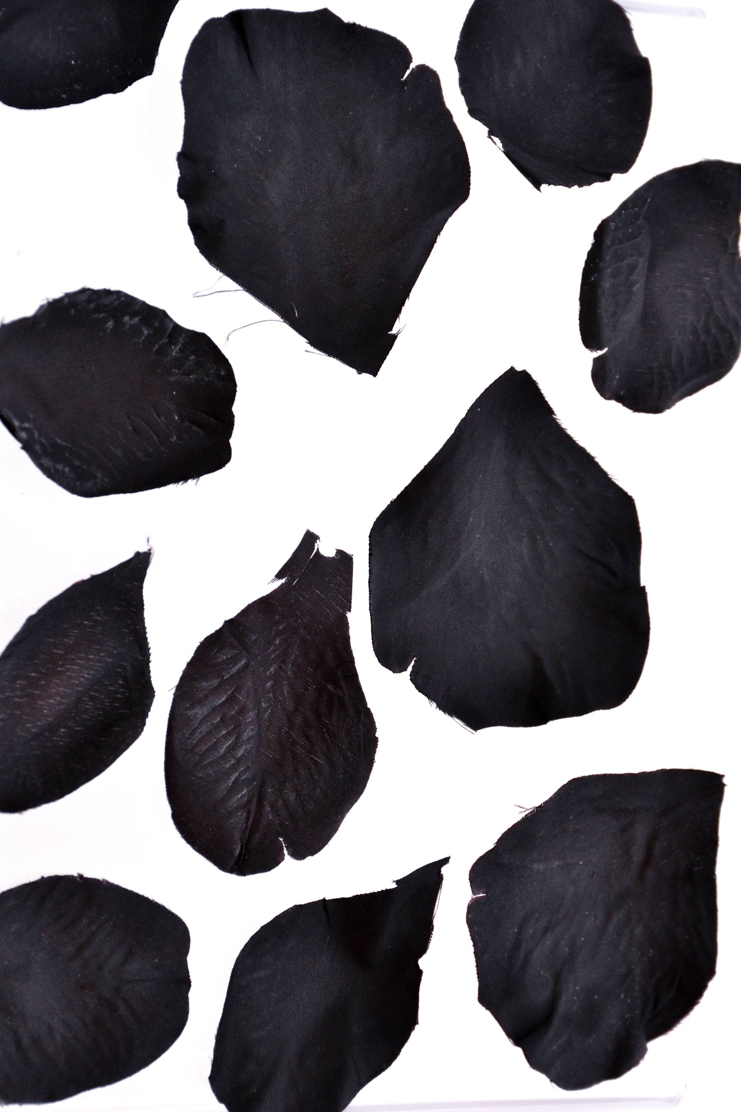Silk Rose Petals Black Pkg/500