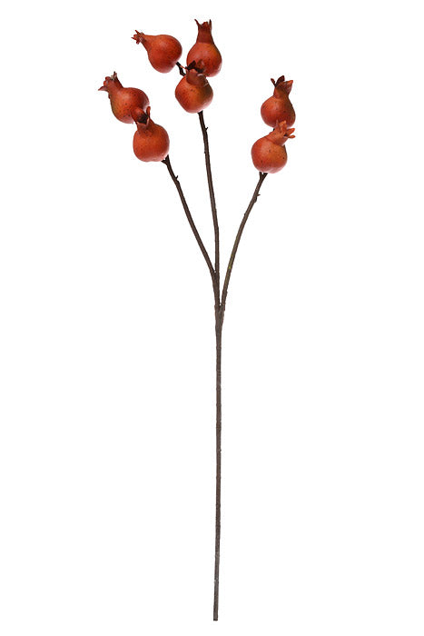 29" Rosehip Spray (Orange)