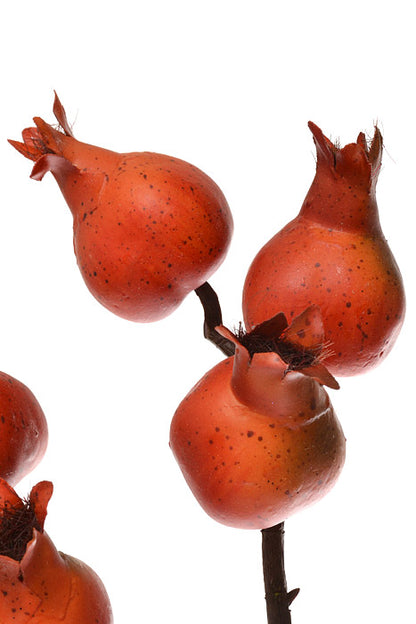 29" Rosehip Spray (Orange)