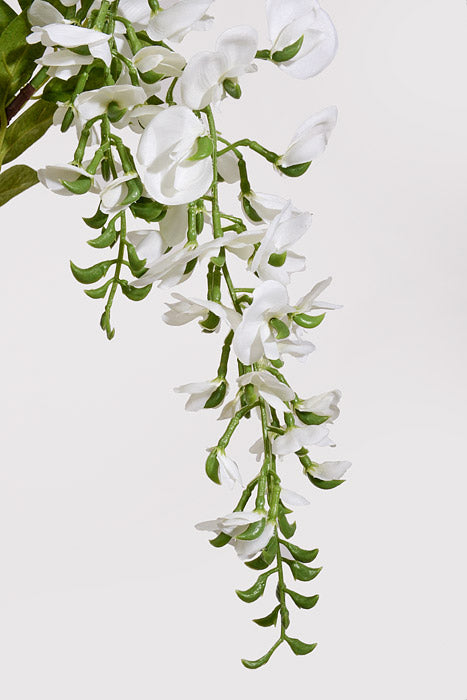 36.6" Silk Wisteria Spray White
