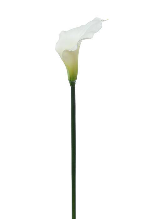 21" Artificial Calla Lily Cream