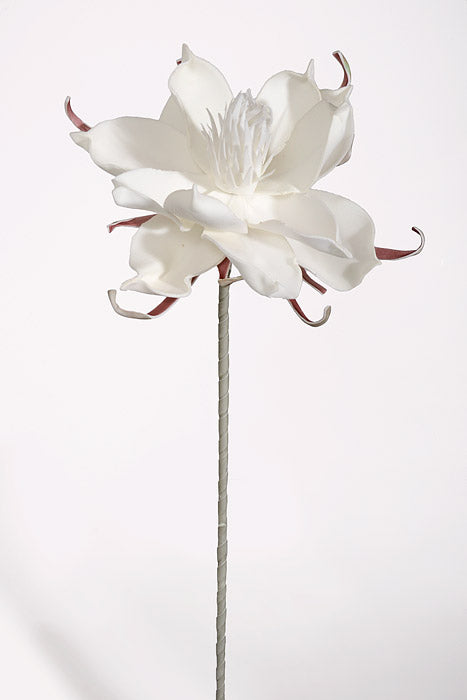 25" Pandula Foam Flower White