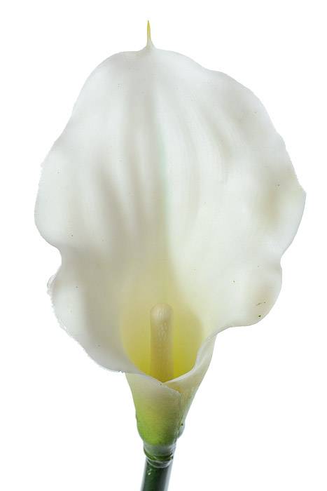 21" Artificial Calla Lily Cream