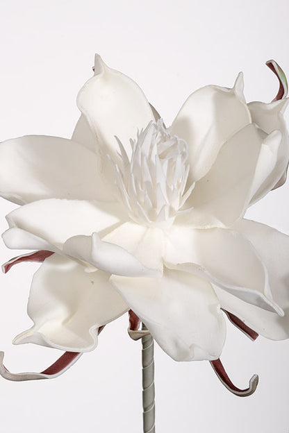 25" Pandula Foam Flower White