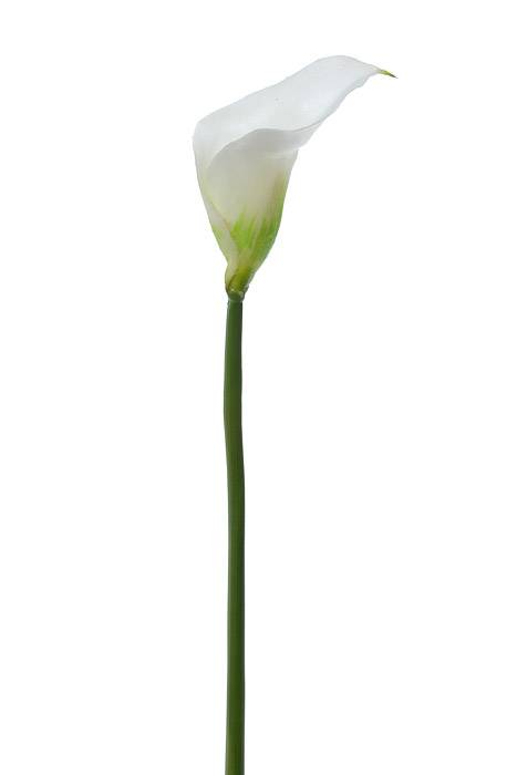 19" Artificial Calla Lily Cream