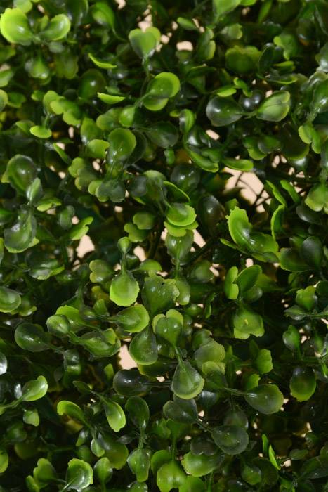 20" Boxwood Ball Green