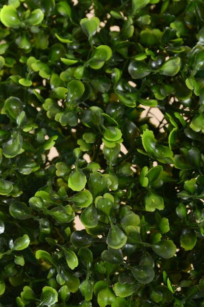 20" Boxwood Ball Green